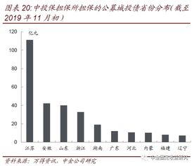 透过城投和非国企债担保解析担保公司 专业担保公司信用风险跟踪 一 20191125