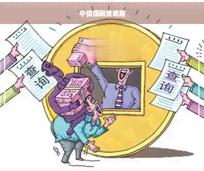 中信保融资逾期