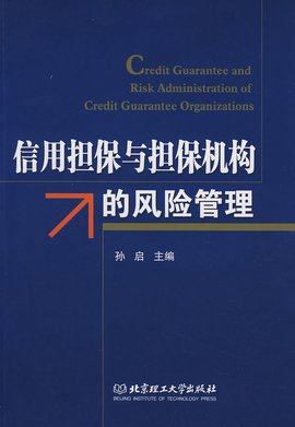 信用担保与担保机构的风险管理