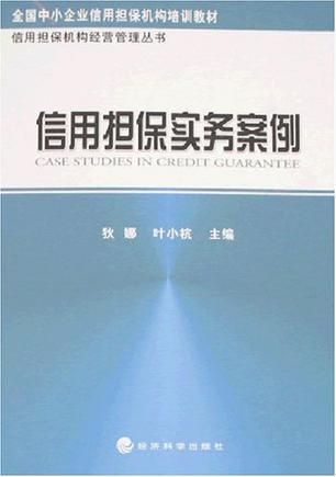 信用担保实务案例分析